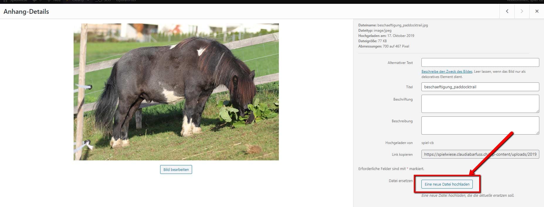 WordPress Plugin Enable Media Replace