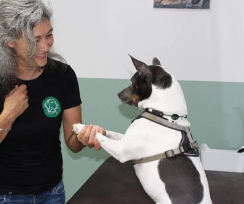 Eine Frau mit langen grauen Haaren die mit der linken Hand die Vorderpfoten eines kleinen Hundes hält.