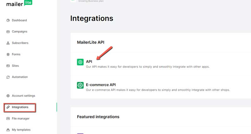 Screenshot aus dem MailerLite-Dashboard im Bereich ‚Integrations‘: Der Menüpunkt ‚API‘ ist mit einem roten Pfeil markiert – hier findet man den API-Schlüssel, um die Verbindung zur Website herzustellen.