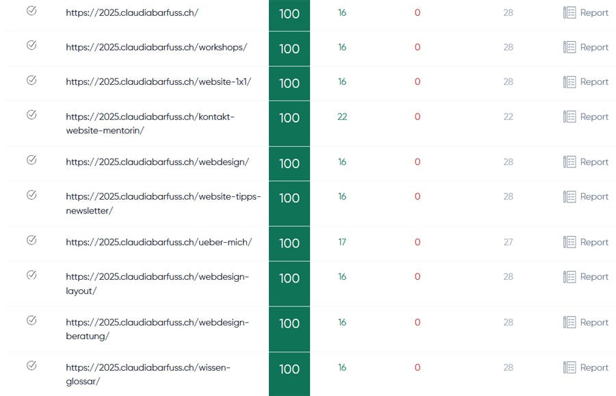 Aufstellung welche Seiten vom Tool als barrierefrei beurteilt werden. Die Farben grün zeigt, dass alles 100% korrekt ist.