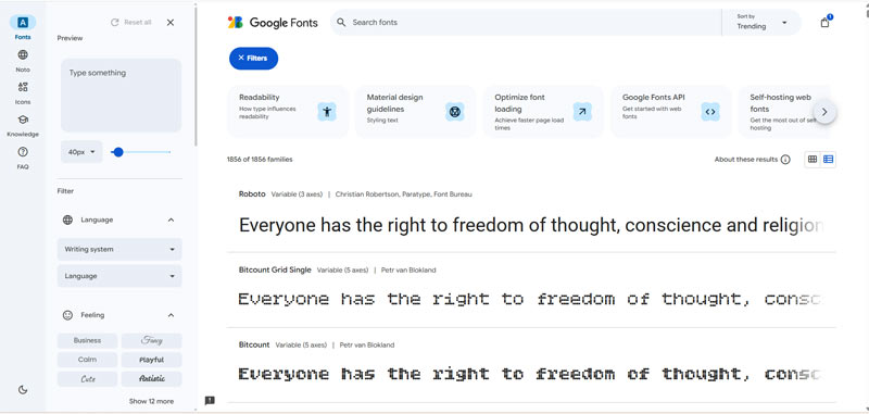 Screenshot Website Google Fonts