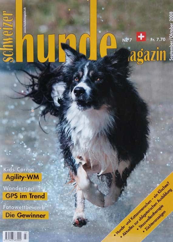 Hundemagazin - Foto Hundemagazin - Foto