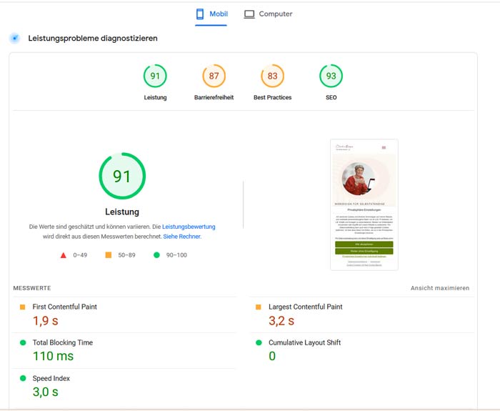 Übersicht über Pagespeed der alten Website von Claudia Barfuss. Geschwindikeit 91%