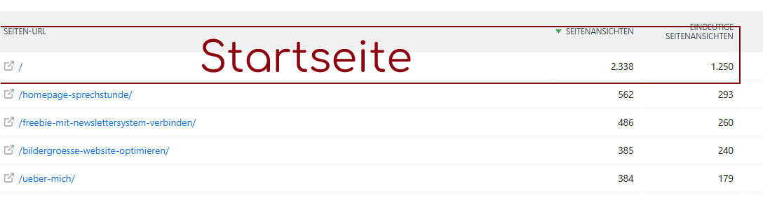 Statistik meiner eigenen Website, auf der klar zu sehen ist, dass die Startseite am häufigsten aufgerufen wird.